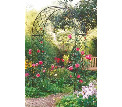 Rosenbogen Bagatelle