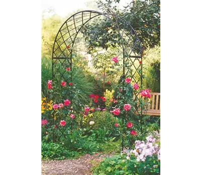 Rosenbogen Bagatelle