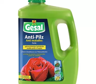 Gesal Anti-Pilz FORTE