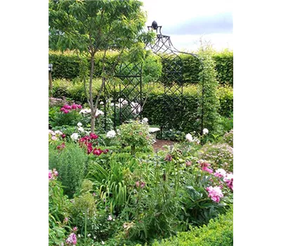 Rosenpavillion Kiftsgate