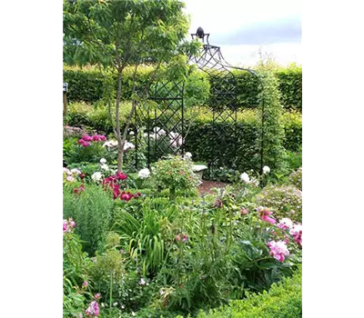 Rosenpavillion Kiftsgate