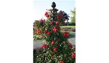 Classic Garden Elements