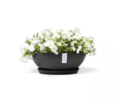 Ecopots Vienna