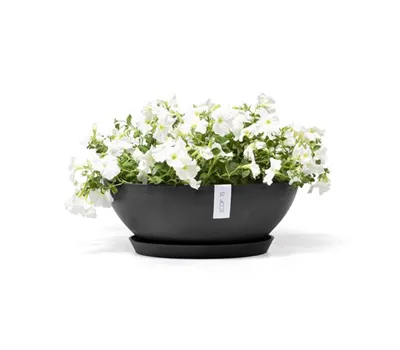 Ecopots Vienna
