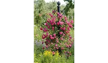 Classic Garden Elements