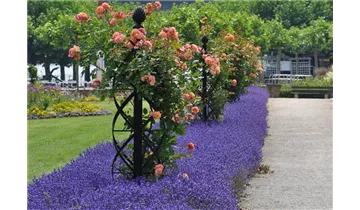 Classic Garden Elements