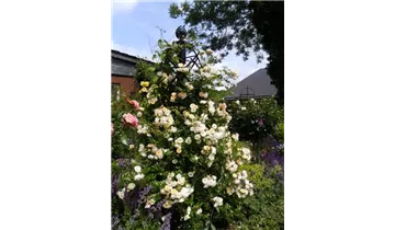 Classic Garden Elements