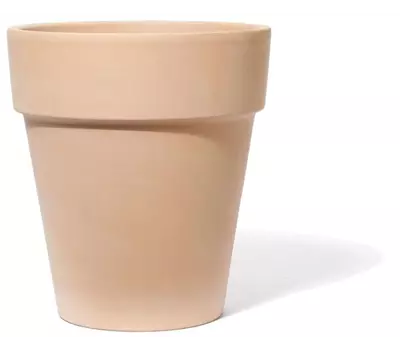 Rosentopf