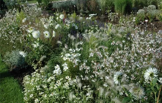 Ganz in Weiss – elegante Gartengestaltung mit Stil Ganz in Weiss – elegante Gartengestaltung mit Stil