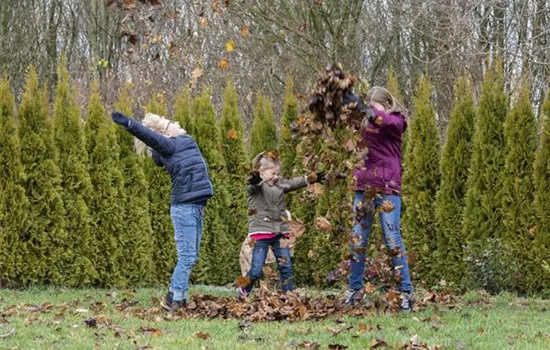Spiel, Spass und Sport: Der Garten als grünes Fitness-Studio Spiel, Spass und Sport: Der Garten als grünes Fitness-Studio