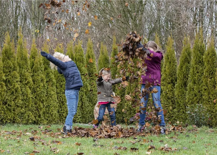 Spiel, Spass und Sport: Der Garten als grünes Fitness-Studio