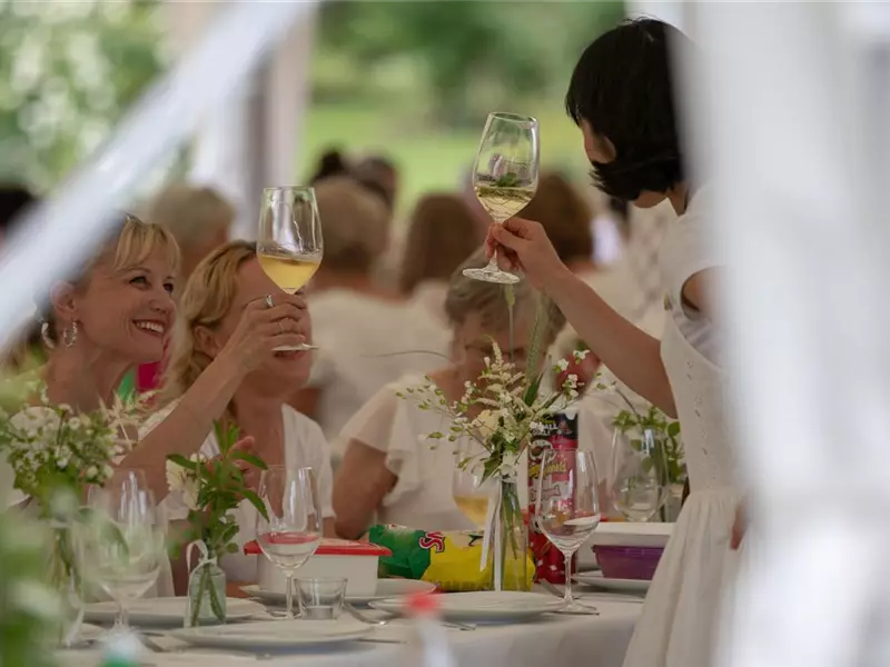Picknick in Weiss im Rosengarten