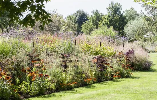 Pflegeleichter Garten: Wohlfühloase trotz wenig Zeit Pflegeleichter Garten: Wohlfühloase trotz wenig Zeit