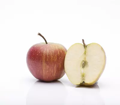Malus (Apfel) 'Rubinette'