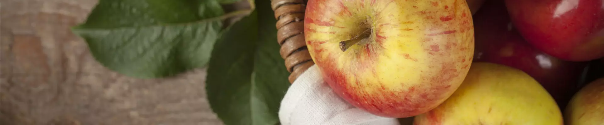 Äpfel
