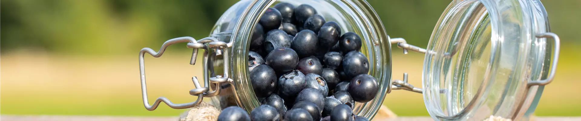 Heidelbeeren im Glas