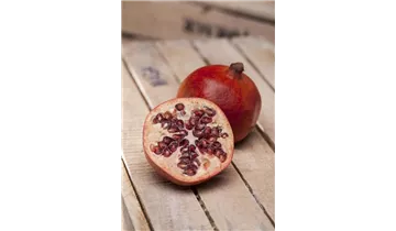 Granatapfel