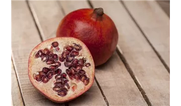 Granatapfel