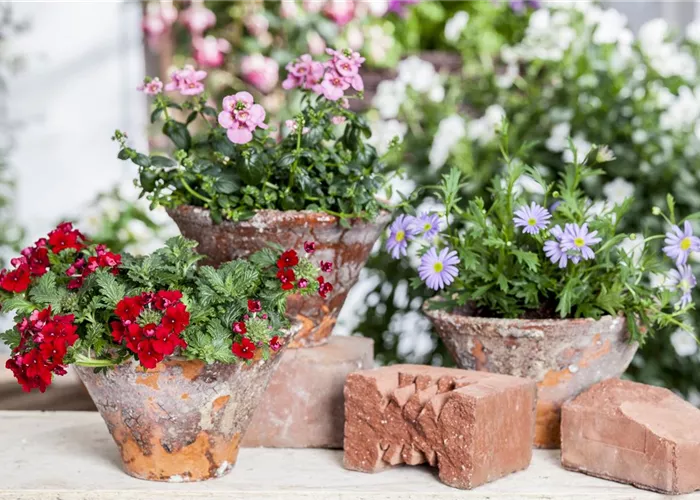 Der ganz grosse Stil im Garten - eine Anleitung für Menschen mit Liebe zu Effekten