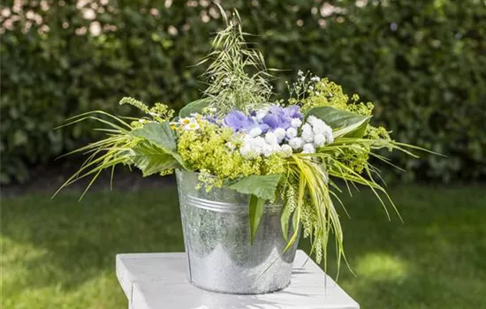 Was passiert eigentlich in der Blumenvase?