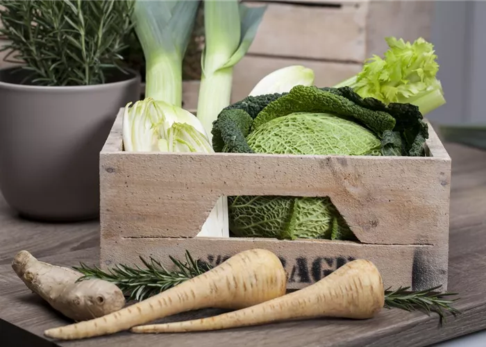 Das grosse Comeback der alten Gemüse-Sorten!